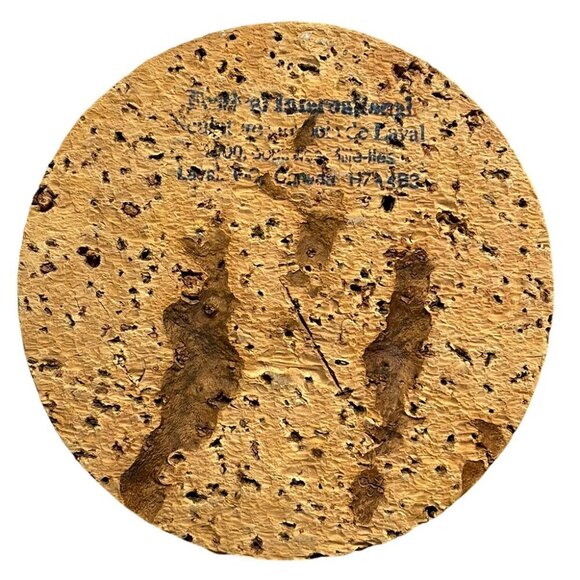 ARTISAN Handmade Gray Shorebird Resting Wood Sculpture Cork Base Decoy Quebec - Picture 13 of 15